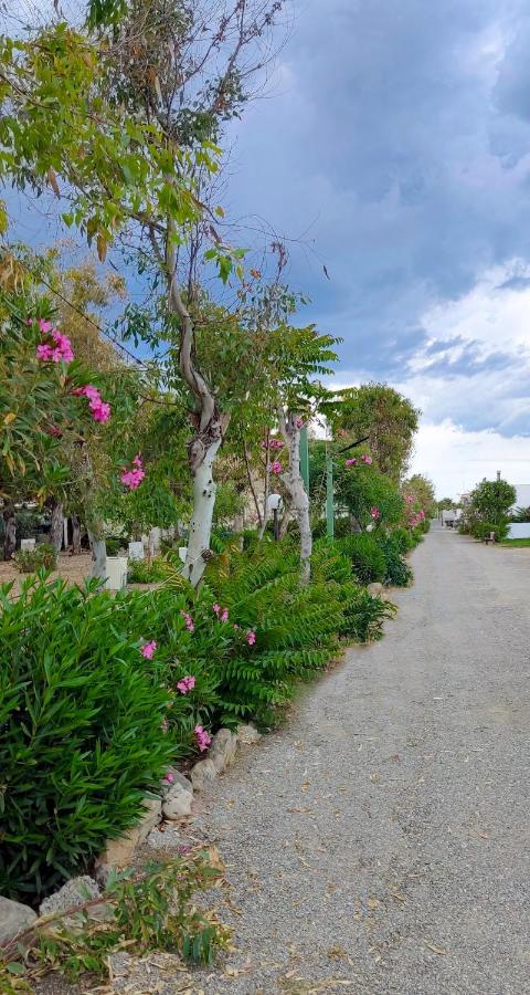 Cirò Marina Camping Village Torrenova מראה חיצוני תמונה