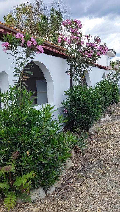 Cirò Marina Camping Village Torrenova מראה חיצוני תמונה