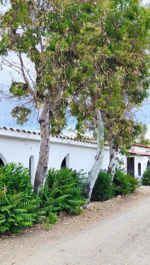 Cirò Marina Camping Village Torrenova מראה חיצוני תמונה