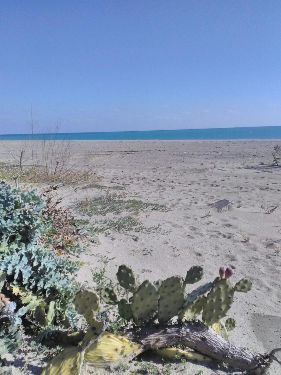 Cirò Marina Camping Village Torrenova מראה חיצוני תמונה